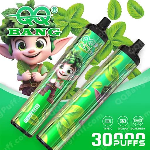 Two green disposable vape devices with mint leaf designs and a cartoon elf mascot, branded 'BANG,' displayed on a bright green backdrop with additional mint leaves and the text '3000 PUFFS' visible.
