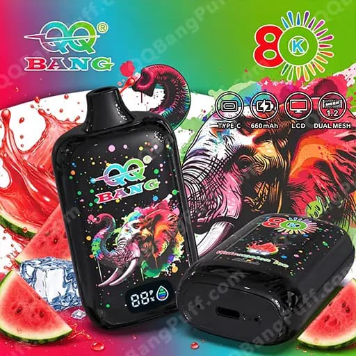 Two black rectangular vape devices with colorful elephant artwork, set against a vivid rainbow background with watermelon slices and ice, with packaging featuring the QQ BANG logo and indicators for Type-C charging, 660 mAh, LCD, and dual mesh.