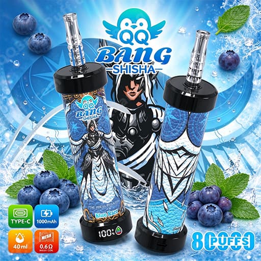 Two blue-patterned vape pens with black mouthpieces stand upright in front of a blue-themed background featuring the Bang Shisha branding, a stylized illustration, blueberries, and mint leaves.